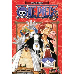 One Piece 25